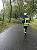 Baum auf Straße